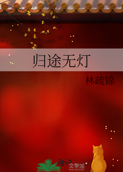 归途无灯